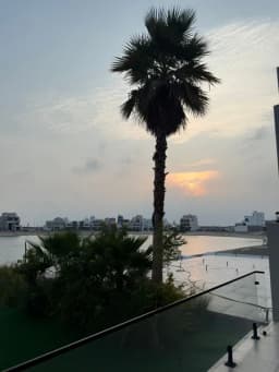 صورة مصغرة 3