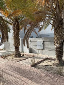 صورة مصغرة 12