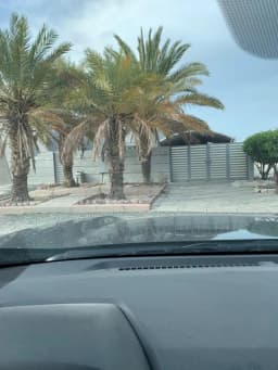صورة مصغرة 13