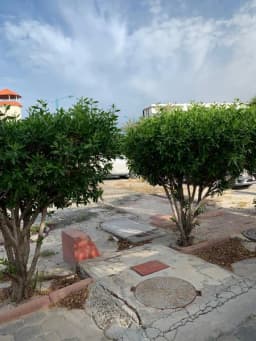 صورة مصغرة 15