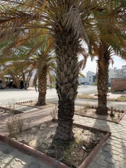 صورة مصغرة 16