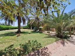 صورة مصغرة 3
