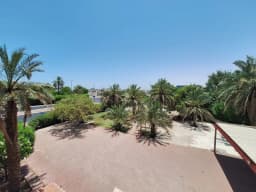 صورة مصغرة 8