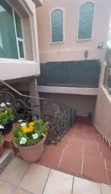 صورة مصغرة 2
