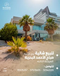 صورة مصغرة 2