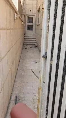 صورة مصغرة 2