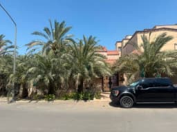 صورة مصغرة 3
