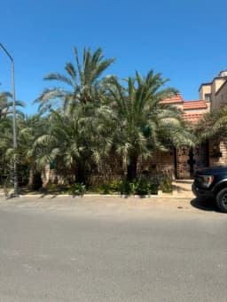 صورة مصغرة 4