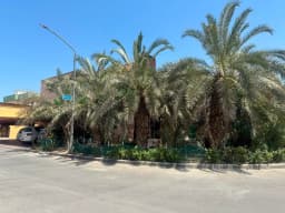 صورة مصغرة 8
