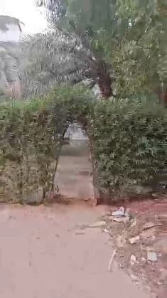 صورة مصغرة 4