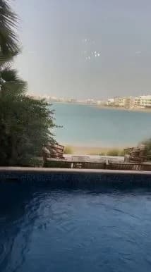 صورة مصغرة 8