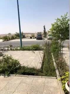 صورة مصغرة 19