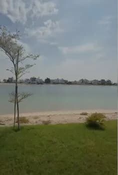صورة مصغرة 6