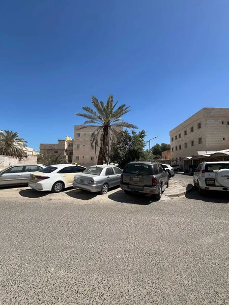 صورة مصغرة 3