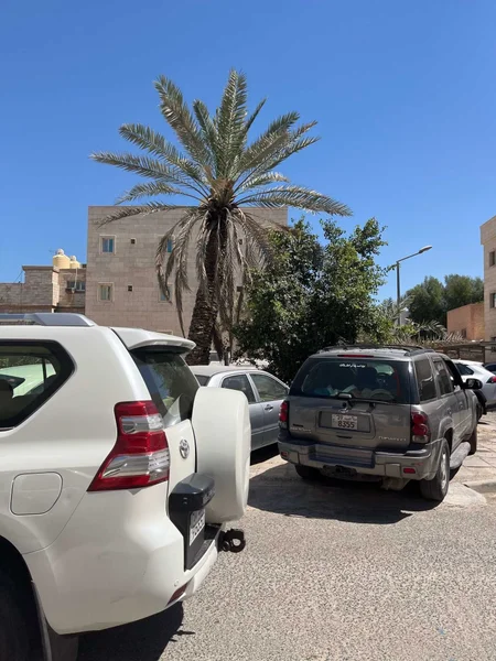 صورة مصغرة 4