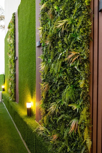 صورة مصغرة 8