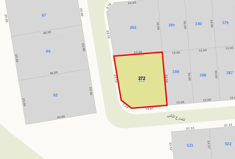 صورة العقار