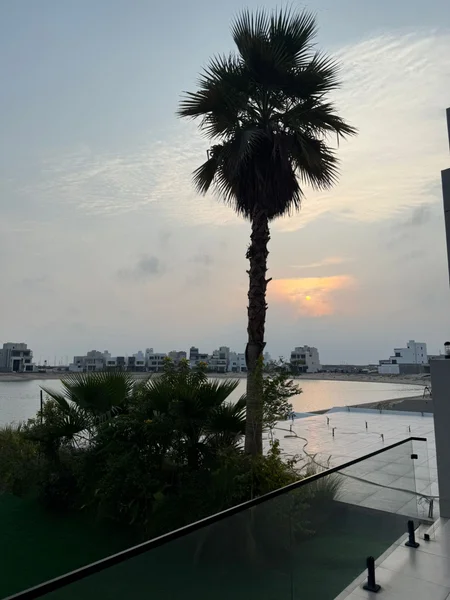 صورة مصغرة 3