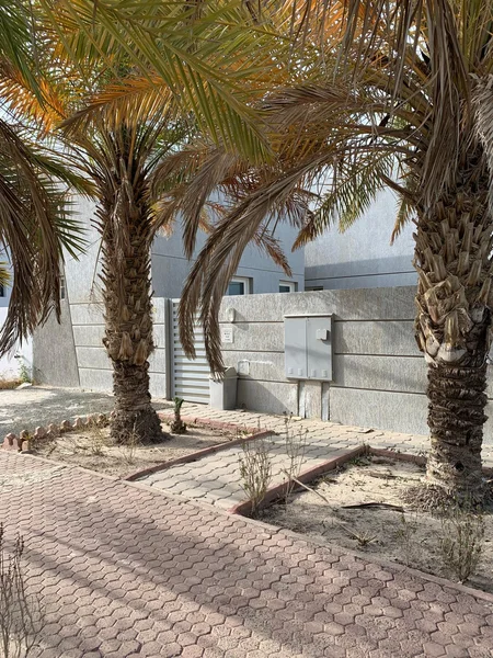 صورة مصغرة 12