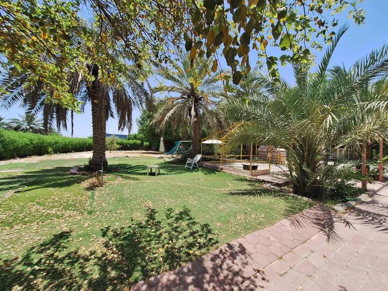 صورة مصغرة 3
