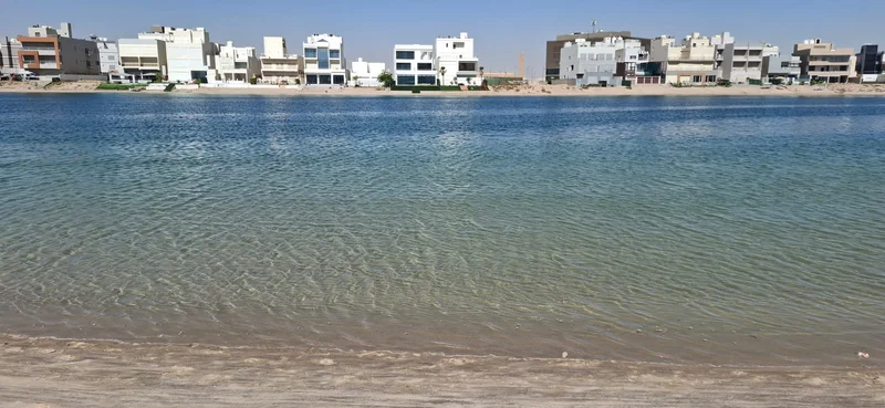 صورة مصغرة 8