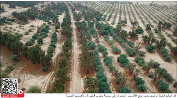 عبدالله الأحمد لـ «الأنباء»: جنوب القيروان «رئة» تتنفس منها المناطق المجاورة ولن تصبح سكنية