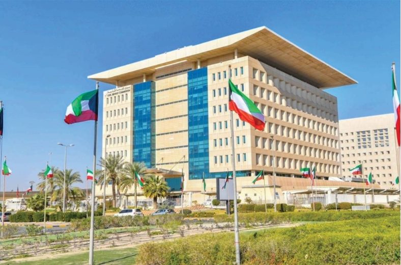 «المعلومات المدنية»: إقرار المالك شرط لشطب «العناوين الوهمية»