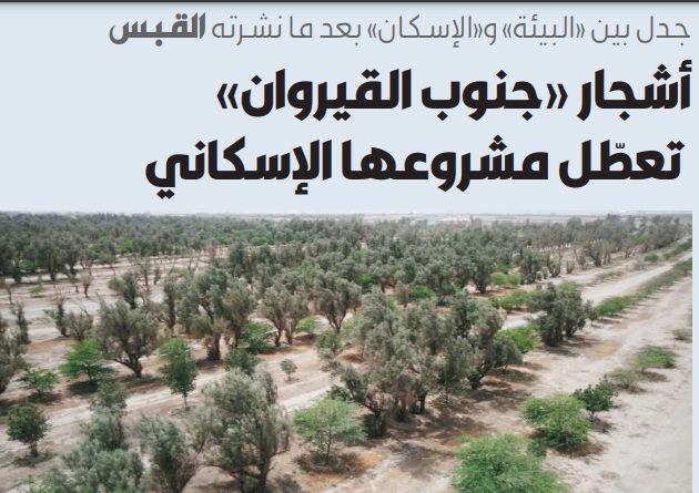 جدل بين البيئة والسكنية بسبب أشجار «جنوب القيروان»