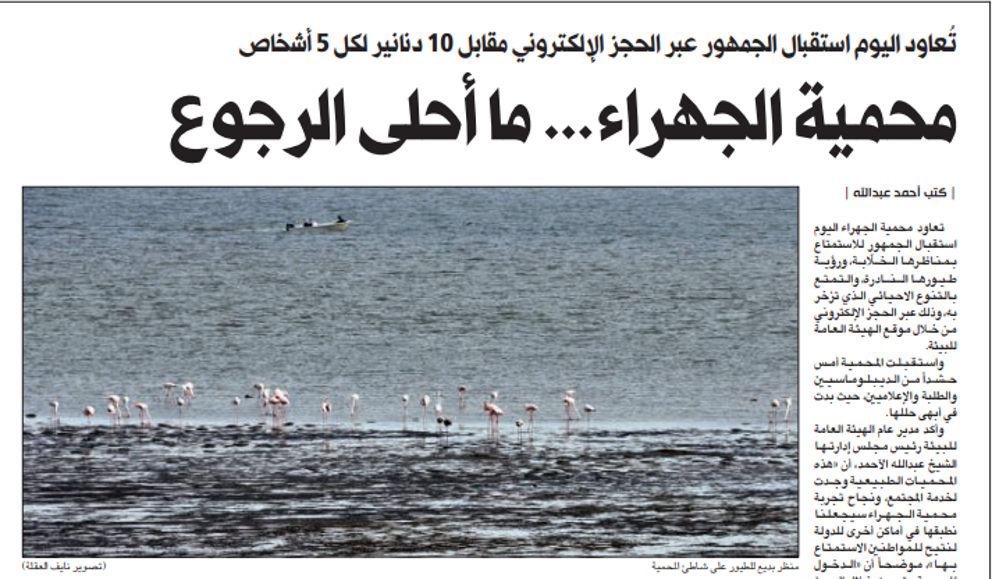 صورة محمية الجهراء... ما أحلى الرجوع