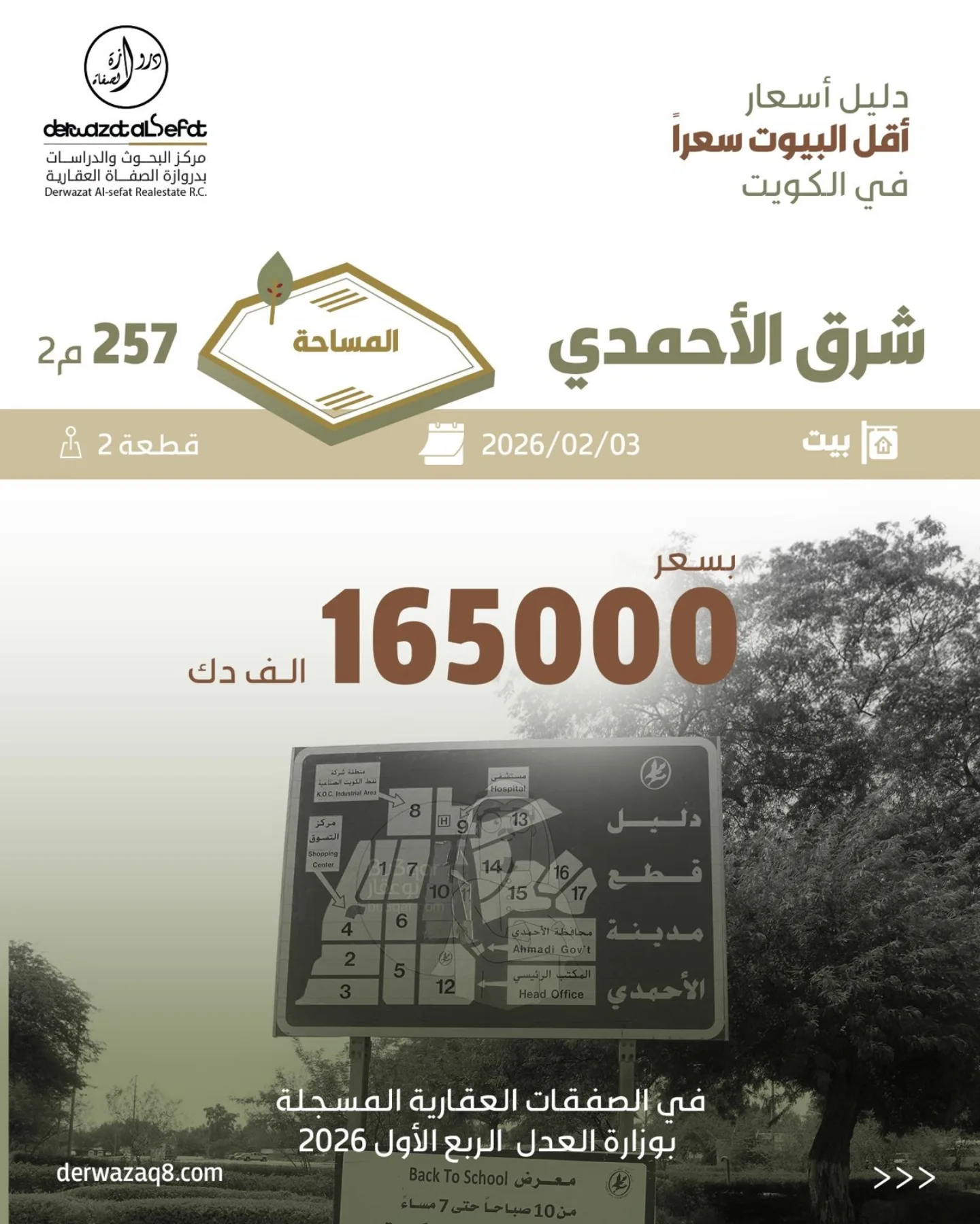صورة 7